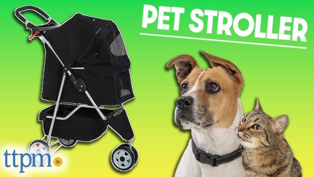 Bestpet 3 Wheels Pet Stroller Review