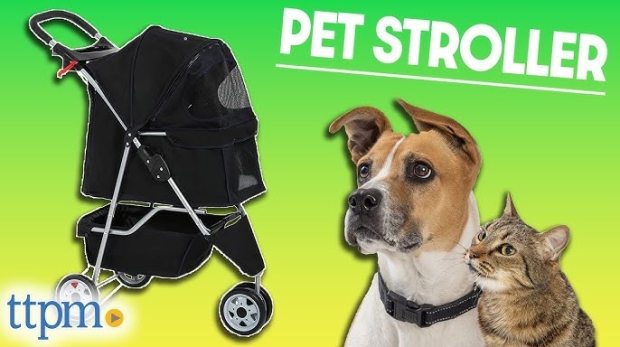 Bestpet 3 Wheels Pet Stroller Review