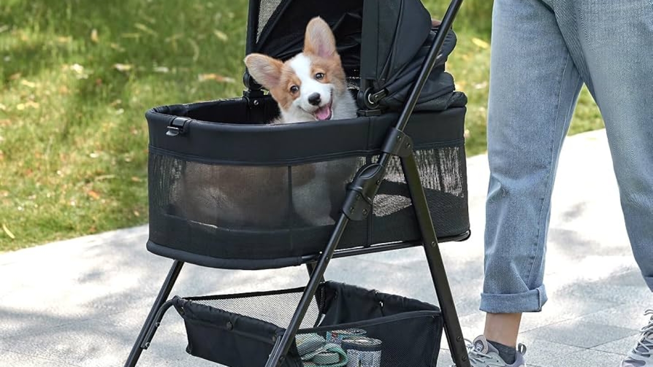 Zoosky 3 in 1 Folding Dog Stroller Review