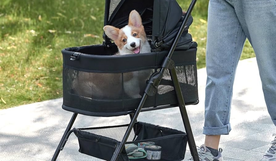 Zoosky 3 in 1 Folding Dog Stroller Review