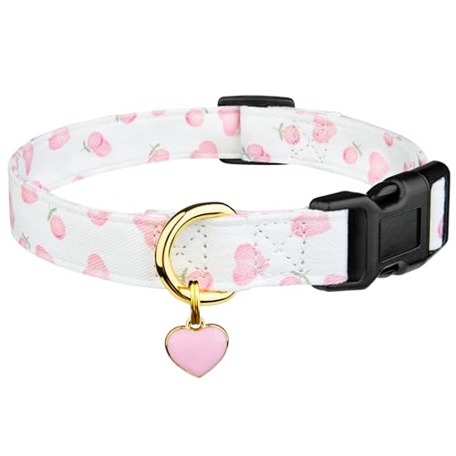 10 Best Dog Collars for Poodles: Stylish, Comfortable, and Adjustable Picks