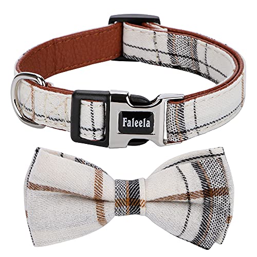 10 Best Dog Collars for Poodles: Stylish, Comfortable, and Adjustable Picks