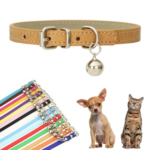 10 Best Dog Collars for Poodles: Stylish, Comfortable, and Adjustable Picks