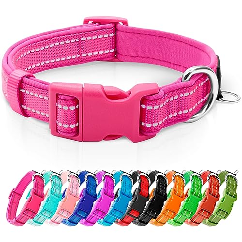 10 Best Dog Collars for Poodles: Stylish, Comfortable, and Adjustable Picks