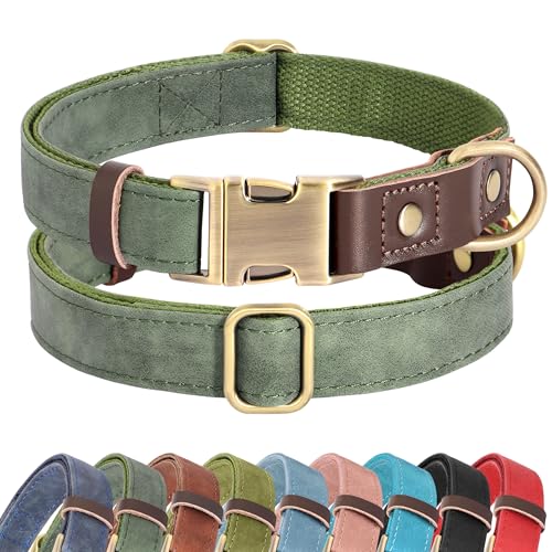10 Best Dog Collars for Poodles: Stylish, Comfortable, and Adjustable Picks