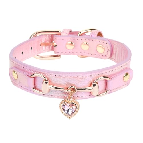 10 Best Dog Collars for Poodles: Stylish, Comfortable, and Adjustable Picks