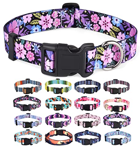 10 Best Dog Collars for Poodles: Stylish, Comfortable, and Adjustable Picks