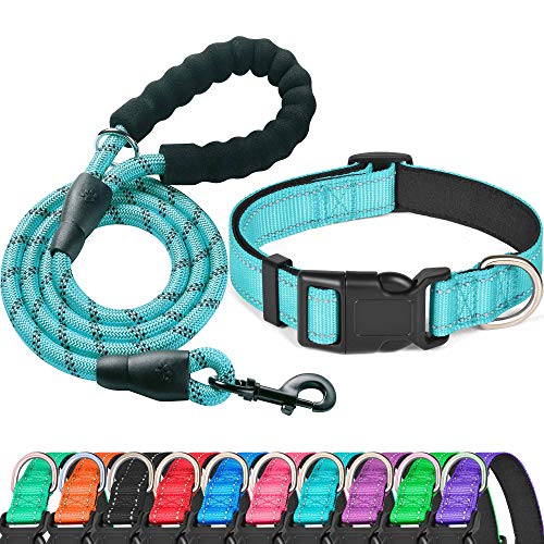 10 Best Dog Collars for Poodles: Stylish, Comfortable, and Adjustable Picks