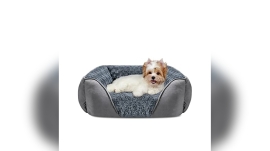 Best Dog Beds for Poodles