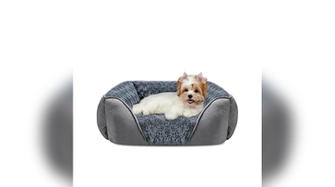 Best Dog Beds for Poodles