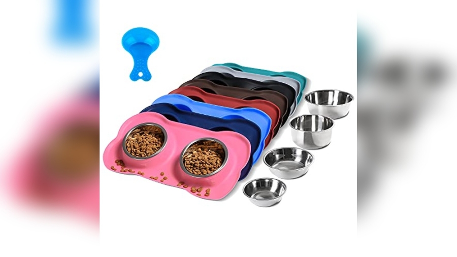 Best Dog Bowls for Poodles