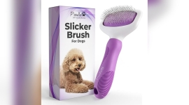 Best Dog Brushes for Poodles
