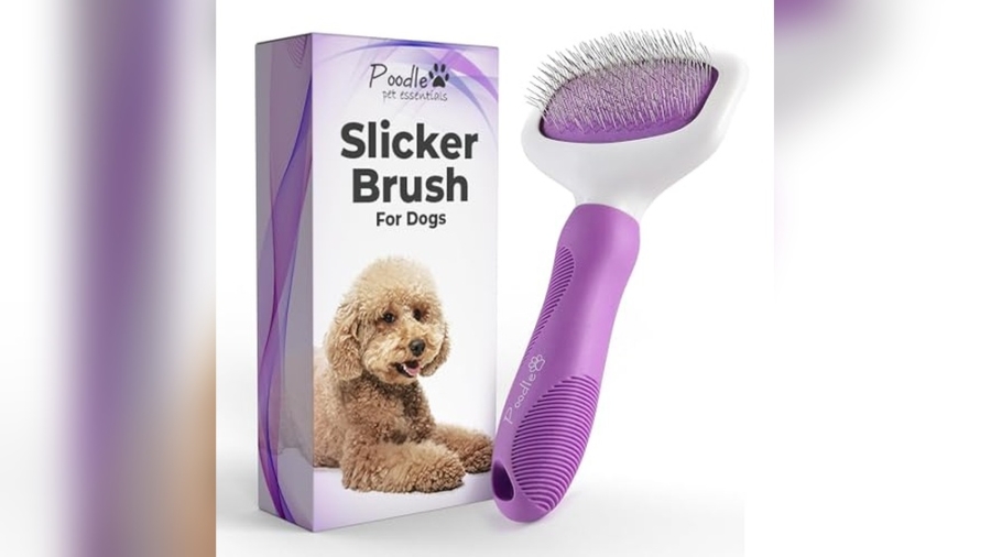 Best Dog Brushes for Poodles
