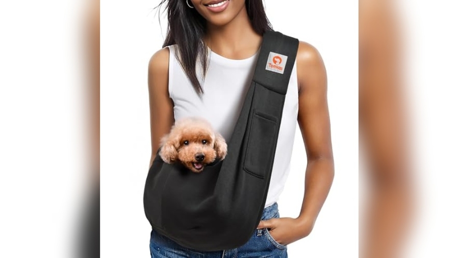 Best Dog Carriers for Poodles