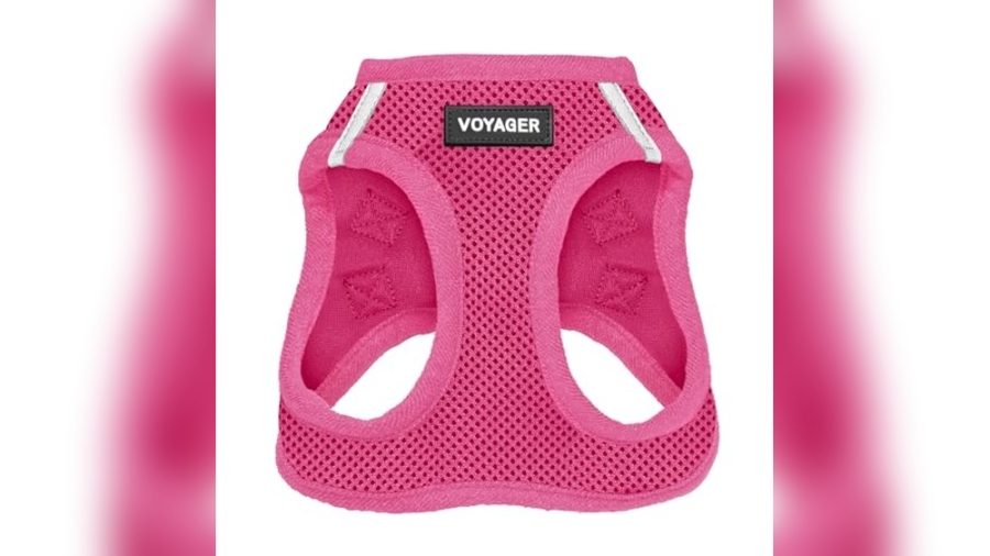 Best Dog Harnesses for Poodles