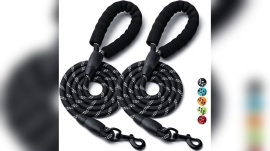 Best Dog Leashes for Poodles