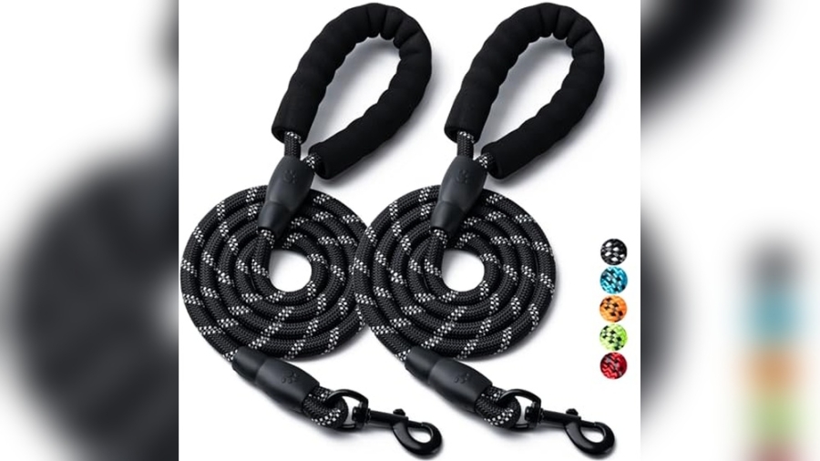 Best Dog Leashes for Poodles