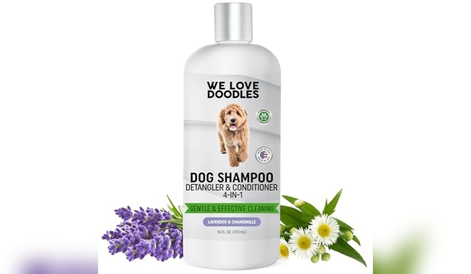 Best Dog Shampoos for Poodles