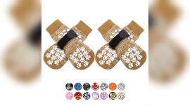Best Dog Shoes for Poodles