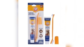 Best Dog Toothbrushes for Poodles