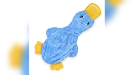 Best Dog Toys for Poodles