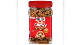 Best Dog Treats for Poodles
