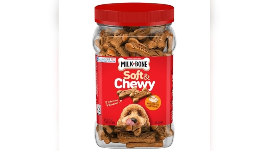 Best Dog Treats for Poodles